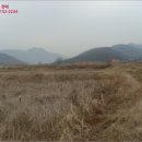 옛길 플라워 이미지