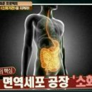 크린톡효소 네이버블로그