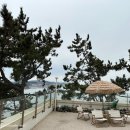 트윈브릿지 이미지