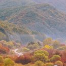 비밀의 정원 이미지