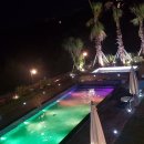 블랙랜드레이스 이미지