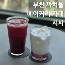 부천 까치울 까치울역 카페 추천 시시 내돈내산 후기 루프탑 주차 애견 동반 가능