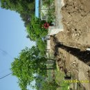 남양상수도