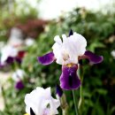 율정경로당 이미지