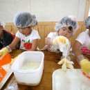 외포초등학교 병설유치원 이미지