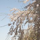 반월놀이공원 이미지