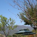 청평자연휴양림 이미지