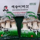 경주버섯 이미지