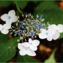 산정주유소 이미지