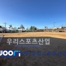 고삼초등학교 이미지