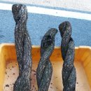 넝쿨농장 이미지