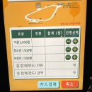 COOL | [공지] [카스쿨 여름 페스티벌] Cass Cool Festival 서울랜드 후기