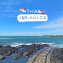 용한1리 방파제 화장실 | [제주] 제주도 서쪽 제주서귀포 가볼만한곳 수월봉, 대정바다기찻길 가는법 및 주차