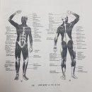 도을요가필라테스 이미지