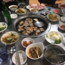 본토박이한우 이미지