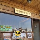 먹거리끝판왕 | “경주 황리단길 먹거리 끝판왕🔥 황남우엉김밥 솔직후기 (줄서서 먹는 이유)”