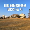 바다가쓴시 | 태안 오션뷰 바다가쓴시 안면도 갯벌 산책 바닷가 애견동반 펜션
