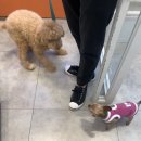 다정다감, 봄 이미지