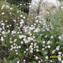 학곡농장 이미지