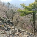성뫼산성 Daum카페