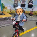 송파안전체험교육관 이미지