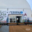 가을 여행 갈 곳ㅣ강원 세계 산림엑스포 행사일정, 입장료ㅣ딥다이브 뮤지엄 할인 후기 가격 생그레