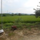 뉴파주부동산공인중개사사무소 이미지