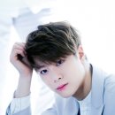 달콩 이미지