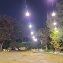 강동빈대떡 이미지