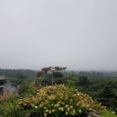 다움농장 | 제주 동화 마을(송당 동화 마을) 솔직하고 생생한 탐방 후기 &#34;제주 자연과 동화 감성의 조화&#34;