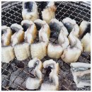 소문난돼지나라 이미지