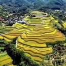 사포마을 이미지