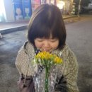 봄이 아빠의 댕댕이 간식 | 2026년 4월 일상 - 꽃놀이로 가득채운 추억들