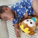 인형의 거리(원숭이 이미지