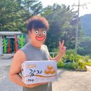 순천 국민여가캠핑장 | 진동리 국민여가 캠핑장 명당 시설 후기