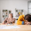 모터테크 이미지