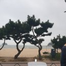 라르고 민박 이미지