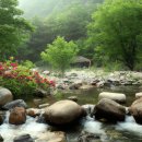 다덕약수관광지 이미지