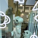 여니네 펫공방 이미지