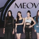 미야오 카카오 검색결과