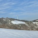 둔내목장 이미지