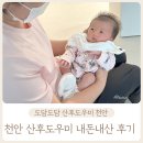 팔도수제돈가스 | 천안 아산 산후도우미 도담도담 내돈내산 3주 이용 솔직 후기