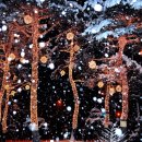 오산시청 이미지