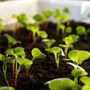 한국계기 이미지