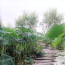 서동요 촬영지 이미지