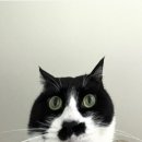 청춘바다 이미지