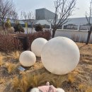 현대통통의원 | 대전 현대아울렛, 울댕카페 파쏘, 수원 순자네분식, 문화동 모습, 파머스포케, 시옷기역삐읍 둔산점