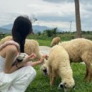 고려이발관 이미지