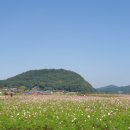 구드래 선착장 화장실 네이버블로그