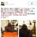 쵸콜렛 이미지